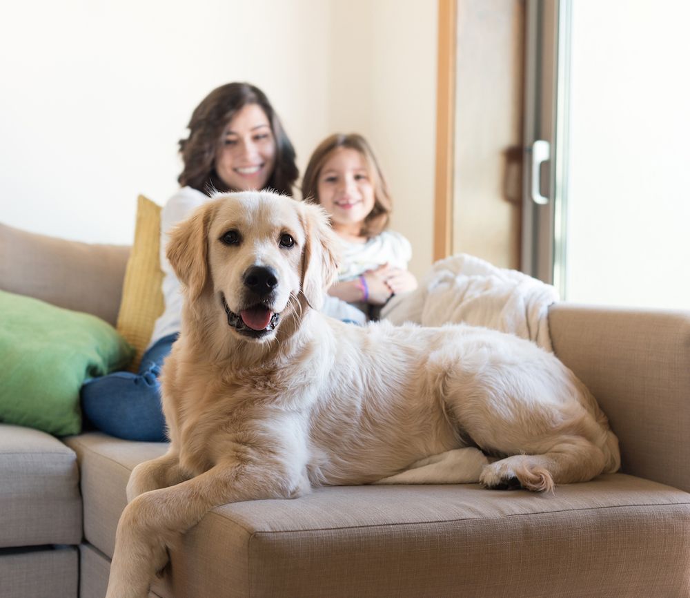 Question of the Week